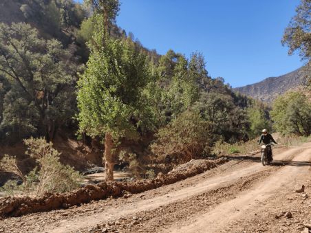 Produit Entre arganiers et reliefs du sud marocain Image