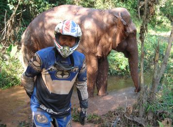 Produit Sur la piste des éléphants au Sud Laos Image