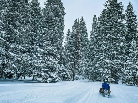 Produit Sous les aurores du nord suédois Image