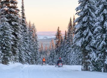 Produit Entre fjord et forêts boréales du Québec Image
