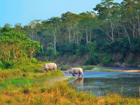 Produit Des rhinocéros du Chitwan aux portes du Mustang Image