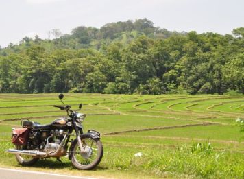 Produit Ceylan, l’île aux mille visages à moto Image