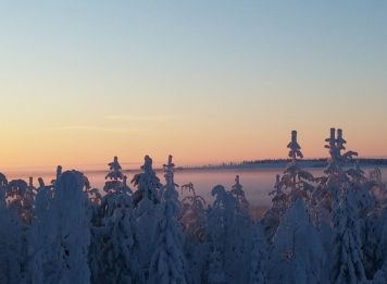 Produit Au cœur de la taïga lapone Image