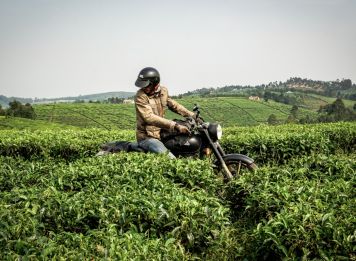 Produit Du lac Kivu aux volcans des Virungas Image