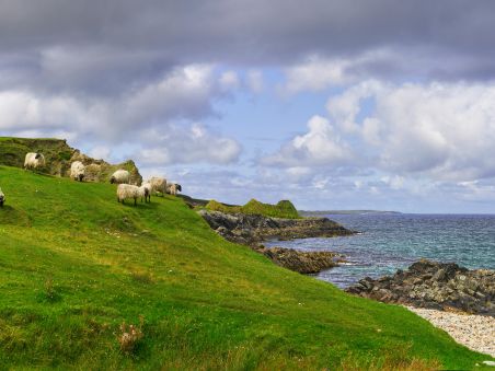 Produit Le long des terres celtiques d’Irlande Image