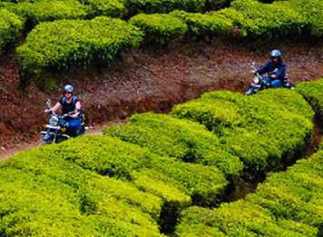 Produit Temples tamouls et jungle du Tamil Nadu Image