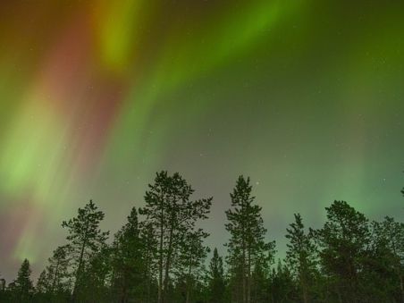 Produit Au cœur de la taïga lapone Image