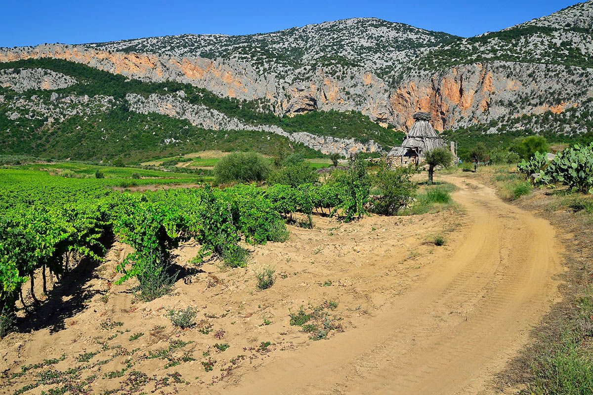 Image Trail en pays Sarde
