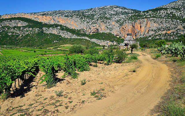 Image Trail en pays Sarde
