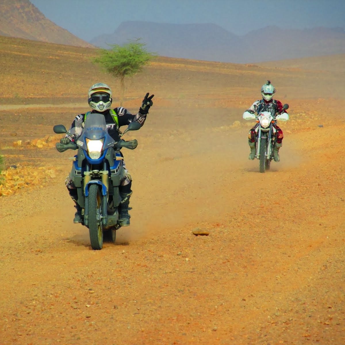Du désert marocain aux sommets de l'Atlas