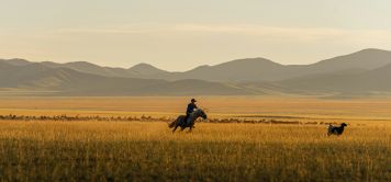 Voyage moto en Mongolie : l’aventure à l’état brut