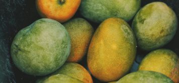 Road trip en Guinée-Bissau : cap sur l’Afrique brute