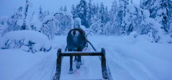 Voyage en motoneige en Laponie