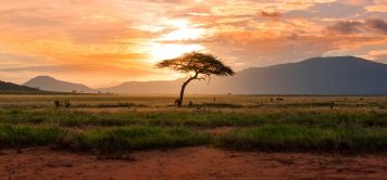 Motorcycle Tours in Africa