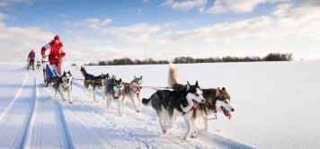 Les activités insolites à faire lors d’un roadtrip motoneige en Laponie