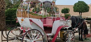 Road trip en buggy au Maroc