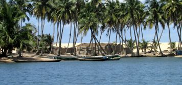 Viaggi in Gambia: fiume, mangrovie e spiagge