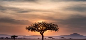 Road trip en Tanzanie : nos voyages motorisés