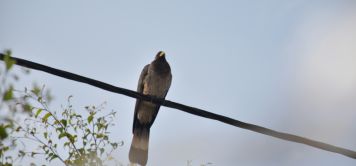 Road trips en Afrique : moto & 4x4