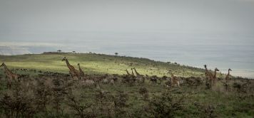 Motorcycle Road Trips in Tanzania
