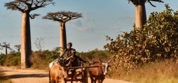 Road trip moto à Madagascar : l’île rouge en grand