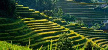 Voyage au Vietnam : entre rizières, montagnes et traditions
