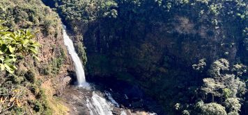 Voyage Guinée : des montagnes du Fouta-Djalon aux forêts tropicales