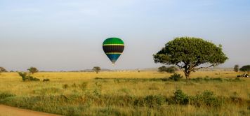 Voyage Tanzanie : des savanes du Serengeti aux terres masaï