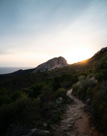 Corse