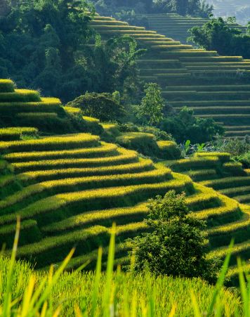 Vietnam