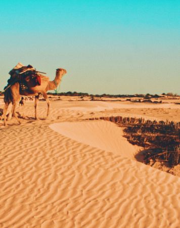 Tunisia