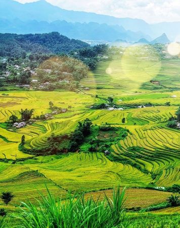 Vietnam