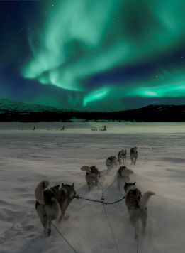 Norvège