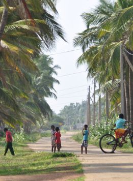 Sri-Lanka