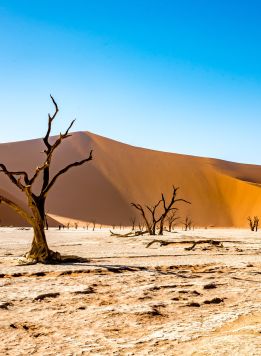 Namibie