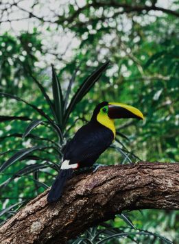 Costa Rica