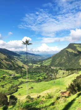 Colombie