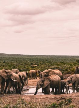 Südafrika