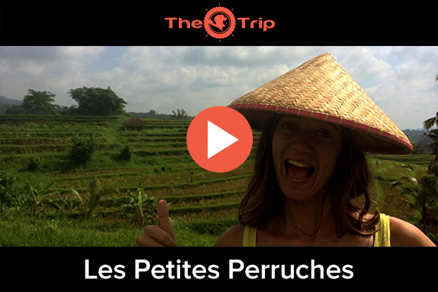 Équipe Les petites perruches — candidature au concours The Trip 2016