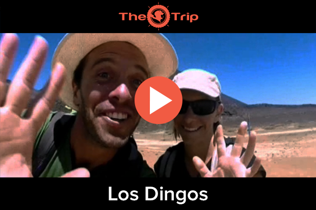 Équipe LOS DINGOS — candidature au concours The Trip 2016