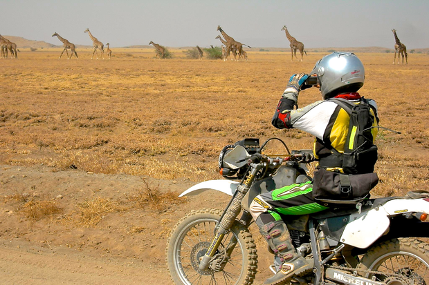 The Trip - Le road-trip et ses routes - Route "zoo" - Safari La Route 10
