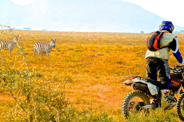 The Trip - Le road-trip et ses routes - Route "zoo" - Safari La Route 9