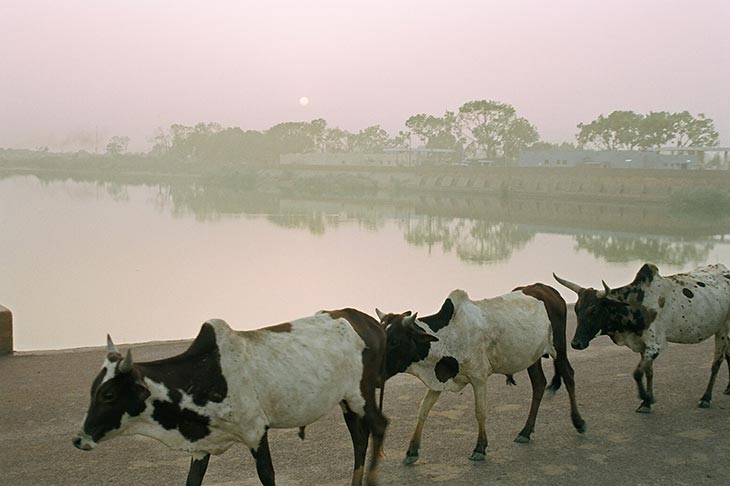 Motorcycle trip to Africa Fabrice Busst Planet Ride